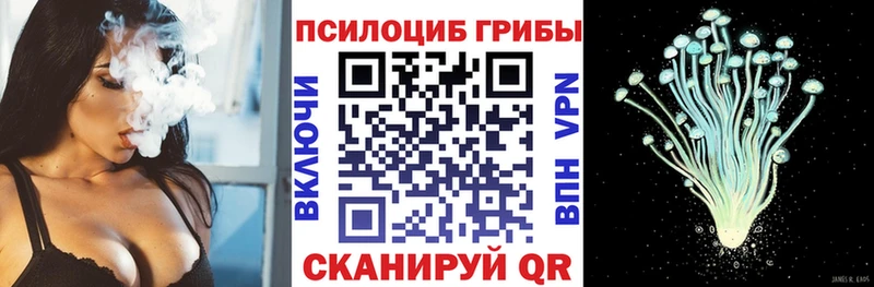 Галлюциногенные грибы ЛСД наркошоп Советская Гавань