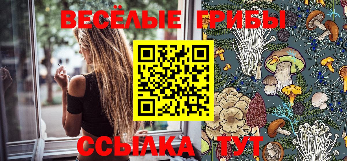 Галлюциногенные грибы Psilocybe Советская Гавань
