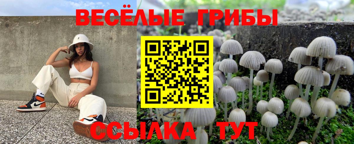 Советская Гавань  Псилоцибиновые грибы MAGIC MUSHROOMS  Псилоцибиновые грибы GOLDEN TEACHER  Вход с VPN 