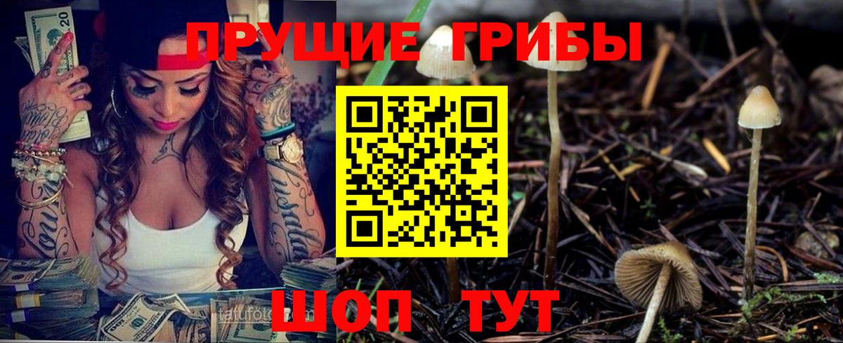 Псилоцибиновые грибы GOLDEN TEACHER  Советская Гавань 