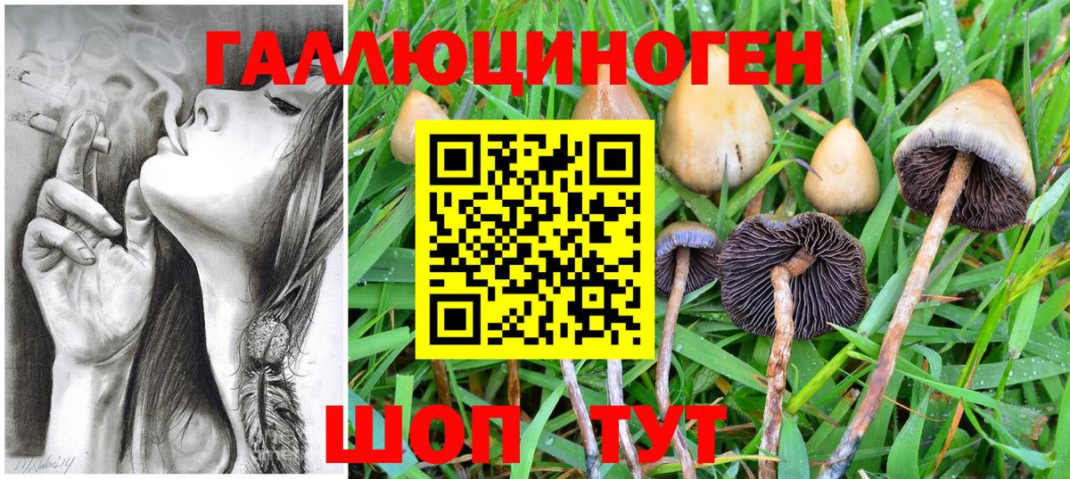 Галлюциногенные грибы ЛСД Советская Гавань